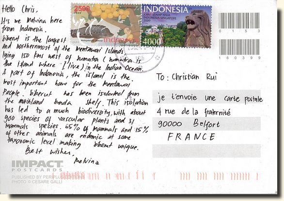 A postcard from Sumatra (Melvina) [back of the postcard]