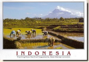 Une carte postale de Banjarmasin (Dito)