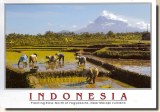 Une carte postale de Banjarmasin (Dito)