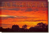 Une carte postale d'Alberta (Murray)