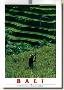 Une carte postale de Bali (Andri)