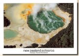 Une carte postale d'Auckland (Maree)