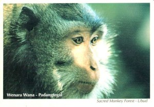 Une carte postale d'indonésie