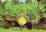 Une carte postale de Guadeloupe (Michel, Virginie, Louis, Dom, Corinne, Chloé)