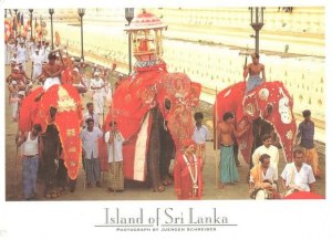Une carte postale du Sri Lanka (Faustine, Ninon, Léonie, Céline et Laurent)