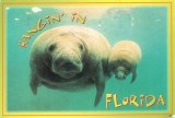 Une carte postale de Sarasota (Charlotte)