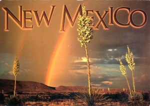 Une carte postale d'Albuquerque (Cynthia)
