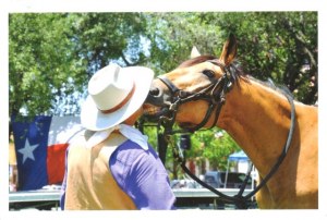 Une carte postale de Sugar Land, TX (Lona)