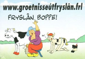 Une carte postale de Oosterwolde (Antje)