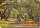 Une carte postale de Healesville (Shane)