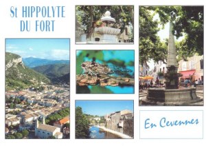 Une carte postale de  St Hippolyte Du Fort (Sylvie)