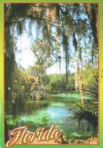Une carte postale de Floride (Charles)