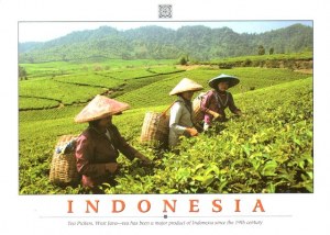 Une carte postale de Kota Bogor (Saumi)