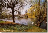 Une carte postale de Tamworth (Naomi) 1