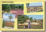 Une carte postale de Breda (Desiree)