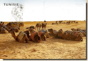 Une carte postale de Tunisie (Corinne, Manu, Max et Julie)