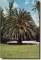 Une carte postale de Melbourne, FL (George)