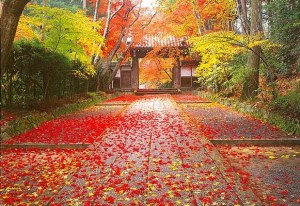 Une carte postale de Kitakyūshū (Akiko)