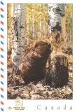 Une carte postale Ridgetown (Carole et Sierra)