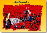 Une carte postale de Rotterdam (Sandra)
