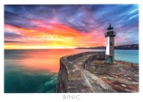 Une carte postale de Binic (Emimi)