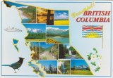 Une carte postale de Colombie Britanique (Denise)