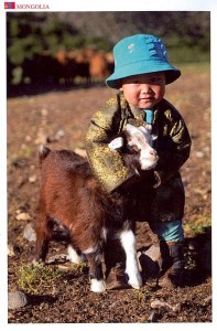 Une carte postale de Mongolie (François le voyageur)