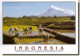 A postcard from Banjarmasin (Dito)