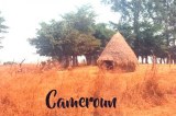 A postcard from Cameroon (Frédé)