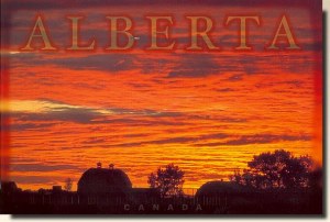 A postcard from Alberta (Murray)