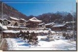 A postcard from Ansan