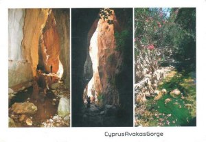 A postcard from Cyprus (Izzie)