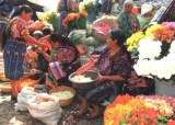 A postpostcard from Mexico (Laurent, Céline, Lilou, Léonie, Ninon, Faustine)