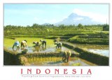 A postcard from Jakarta (Sophia)