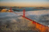 A postcard from San Francisco, CA (Terry)