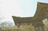 A postcard from Suwon (Julie)