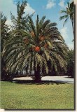 A postcard from Melbourne, FL (George)