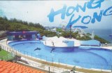 A postcard from Hong Kong (Wingo)