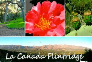 A postcard from La Canada (Carlyn)