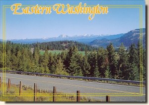 A postcard from Washington, WA (Jo)