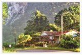 A postcard from Viñales (Virginie, Michel and Louis)