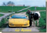 A postcard from Assen (Yolenda)